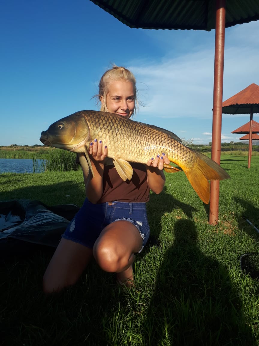 Zakopane Catch & Release Zakopane Country Village